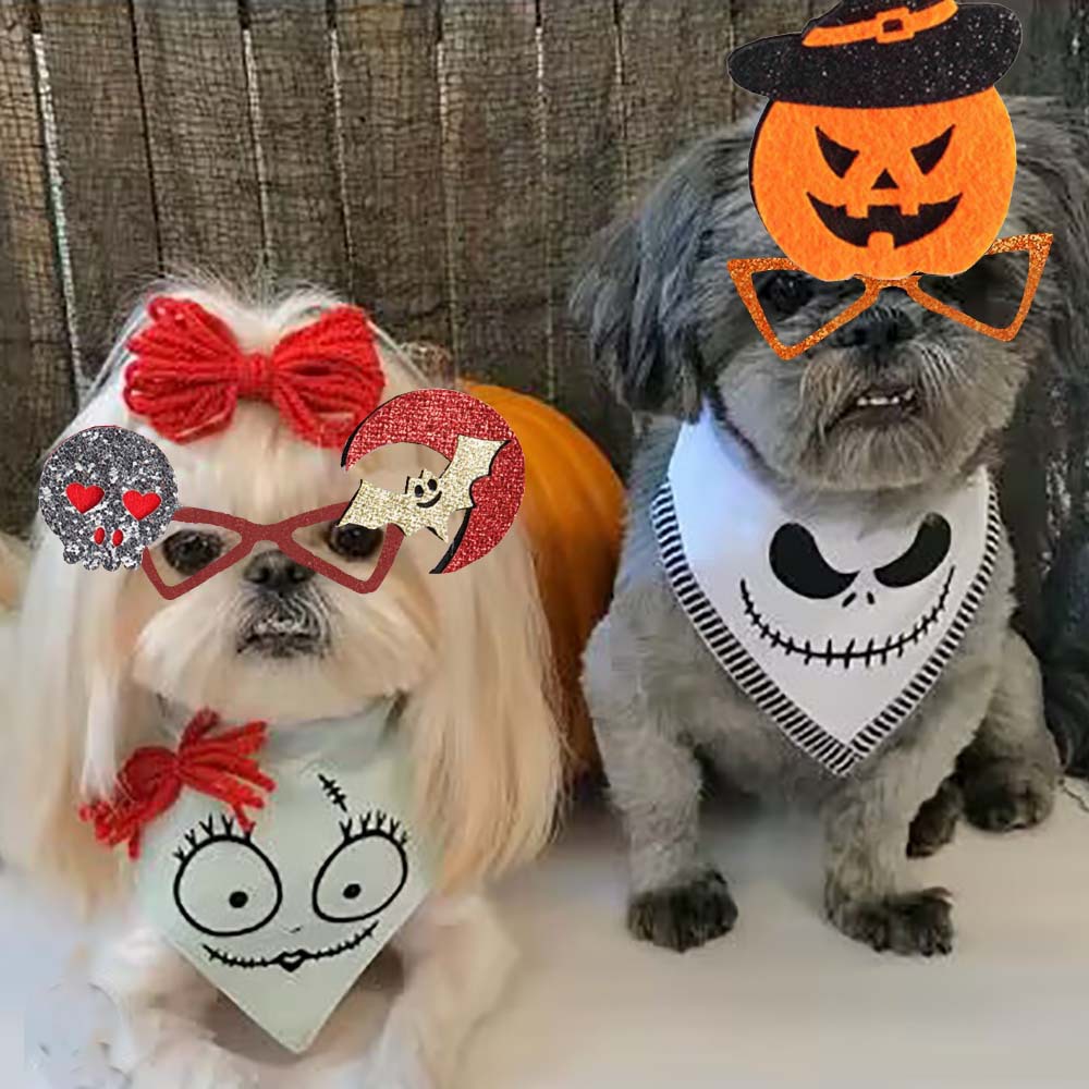 Nuovo design, occhiali per animali domestici di Halloween alla moda