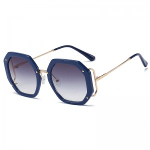 RUISEN’S Women’s Vogue PC Frame Metal Temple Sunglasses