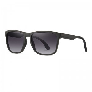 Gafas de sol moldeadas por inyección de dos tonos TR con estilo de RUISEN para gafas de sol de hombre S12012