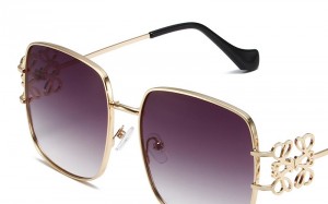 RUISEN’S Fashion Sunglasses  For Women  3812