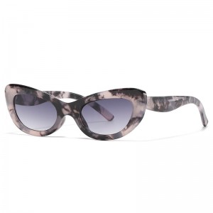 RUISEN'S Fashion Cat Eye Frame Personalized Women's Sunglasses LJ9507