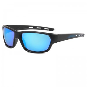 RUISEN'S ludis Outdoor Revolutio Goggles Sunglasses (IX)CML