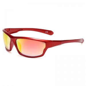 RUISEN'S Unisex-Retro-Designer-PC-Sonnenbrille 18198