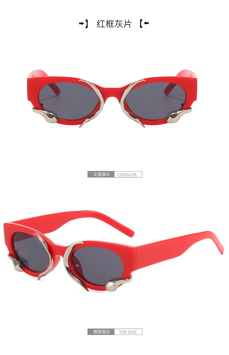 RUISEN'S Women's New Personalized Three-Dimensional Sunglasses