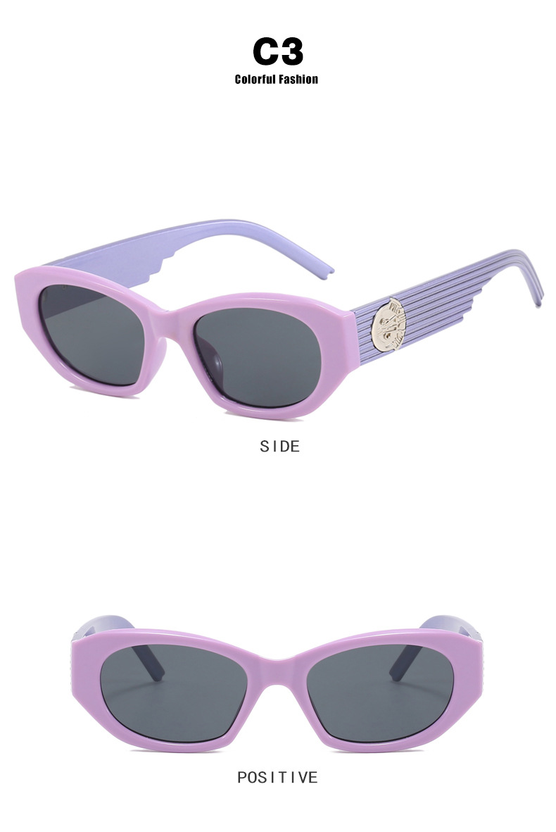 Lunettes de soleil à monture carrée Colorblock Fashion RUISEN'S 5019-12