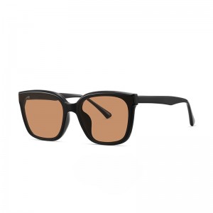 RUISEN’S Sunglasses  For Women 9067