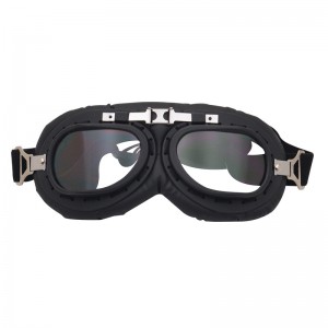 RUISEN'S Pets Lunettes étanches pour grands chiens RS-3008