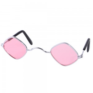 RUISEN'S Pets Googles de Moda Perros RS-212