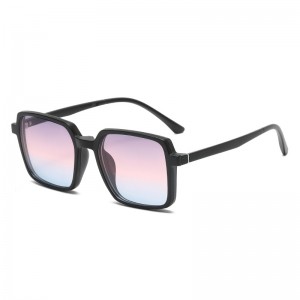 RUISENS'S Polarized Sunglasses Clip LAETUS revolutio 9506