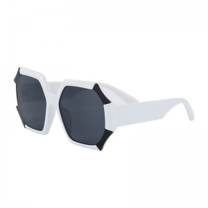 RUISEN'S Novae Retro Magnae Artus Polygonal Sunglasses MMLXXXIII