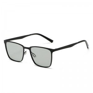 RUISEN'S Hominum nox Visio Polarized Vitra (DV)XV