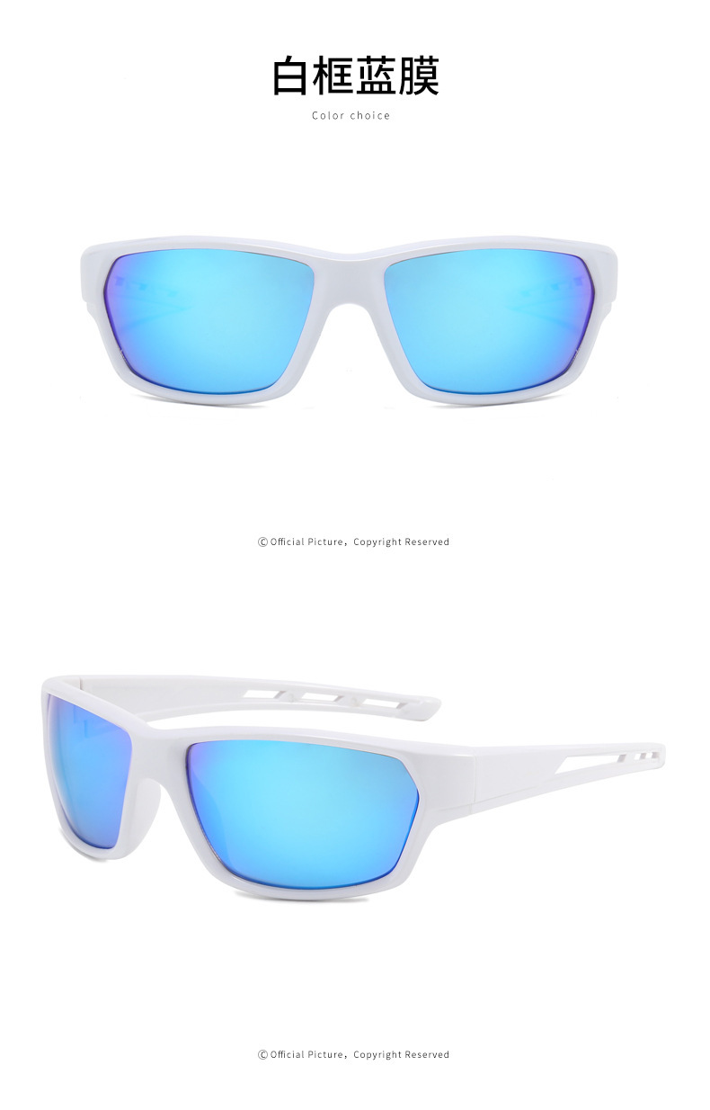 RUISEN'S ludis Outdoor Revolutio Goggles Sunglasses (IX)CML