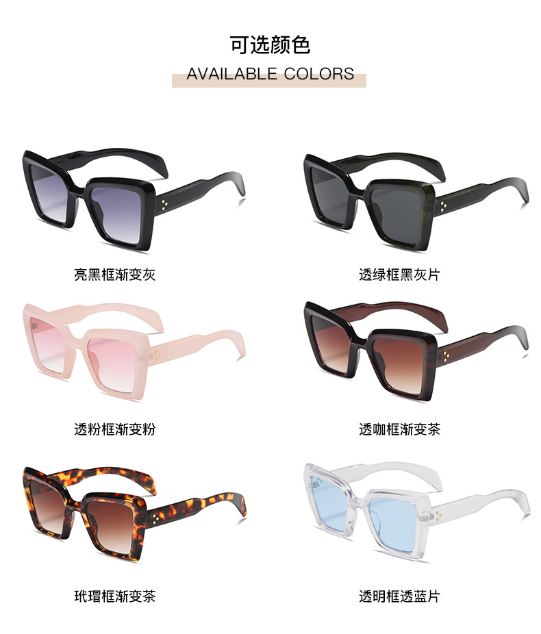 Ladies sunglasses -2