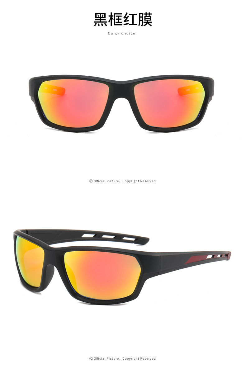 RUISEN'S ludis Outdoor Revolutio Goggles Sunglasses (IX)CML