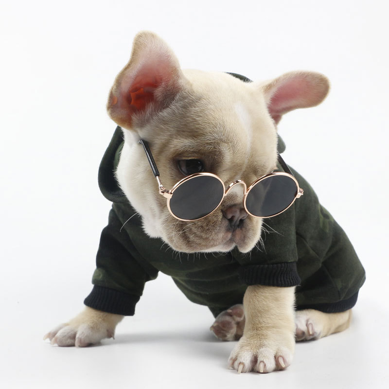 ¿Cómo elegir las gafas adecuadas para tu perro?