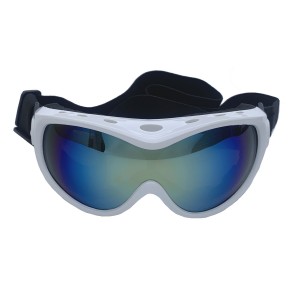 RUISEN’S Waterproof Windproof  Big Dog Sunglasses Goggles RS-202