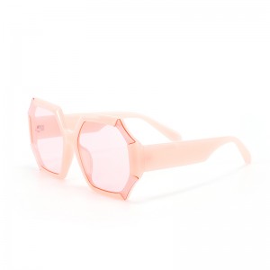 RUISEN'S Novae Retro Magnae Artus Polygonal Sunglasses MMLXXXIII