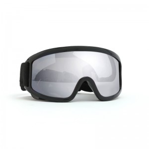 RUISEN'S Dog's Glasses Windproof Sandproof RS-220