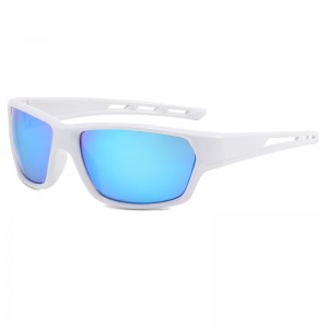 RUISEN'S ludis Outdoor Revolutio Goggles Sunglasses (IX)CML