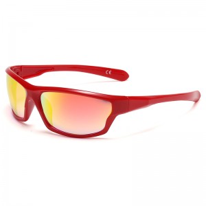 RUISEN'S Unisex-Retro-Designer-PC-Sonnenbrille 18198