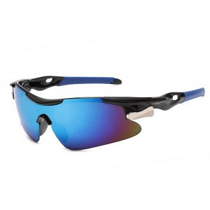 RUISEN'S Riding Sunglasses (IX)CCVI Model Sports Vitra