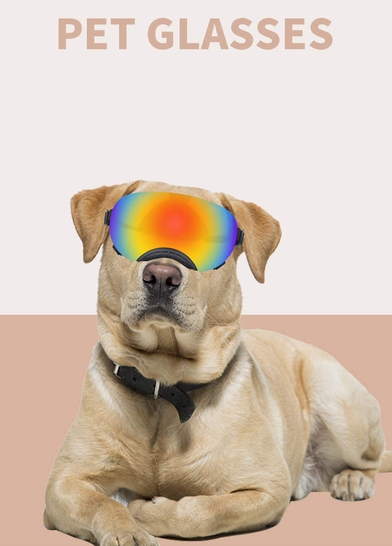 Nouvelles lunettes magnétiques pour animaux de compagnie pour chiens tactiques