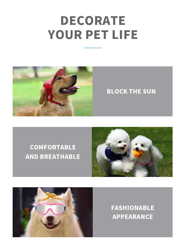 decorate your pet life