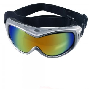 RUISEN’S Waterproof Windproof  Big Dog Sunglasses Goggles RS-202