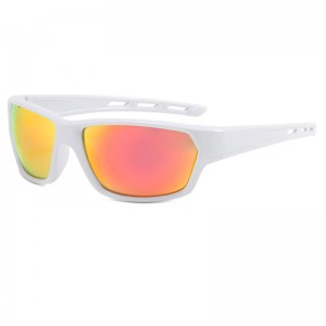 RUISEN'S ludis Outdoor Revolutio Goggles Sunglasses (IX)CML