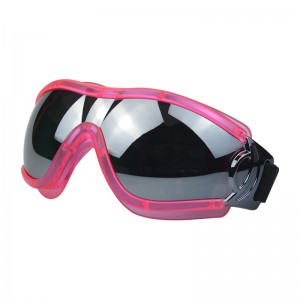 Lunettes pour chien RUISEN'S coupe-vent et anti-sable avec protection UV RS-3033